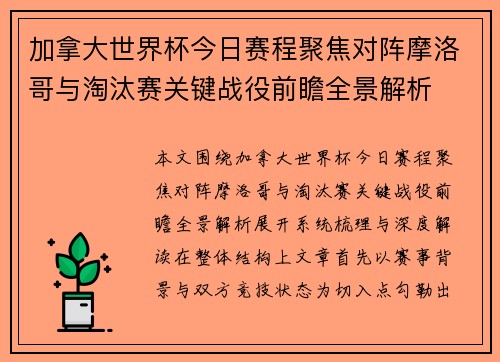 加拿大世界杯今日赛程聚焦对阵摩洛哥与淘汰赛关键战役前瞻全景解析